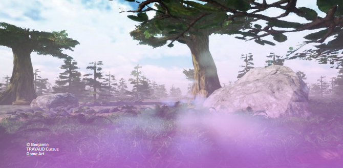 Optimisation visuelle & Technical art