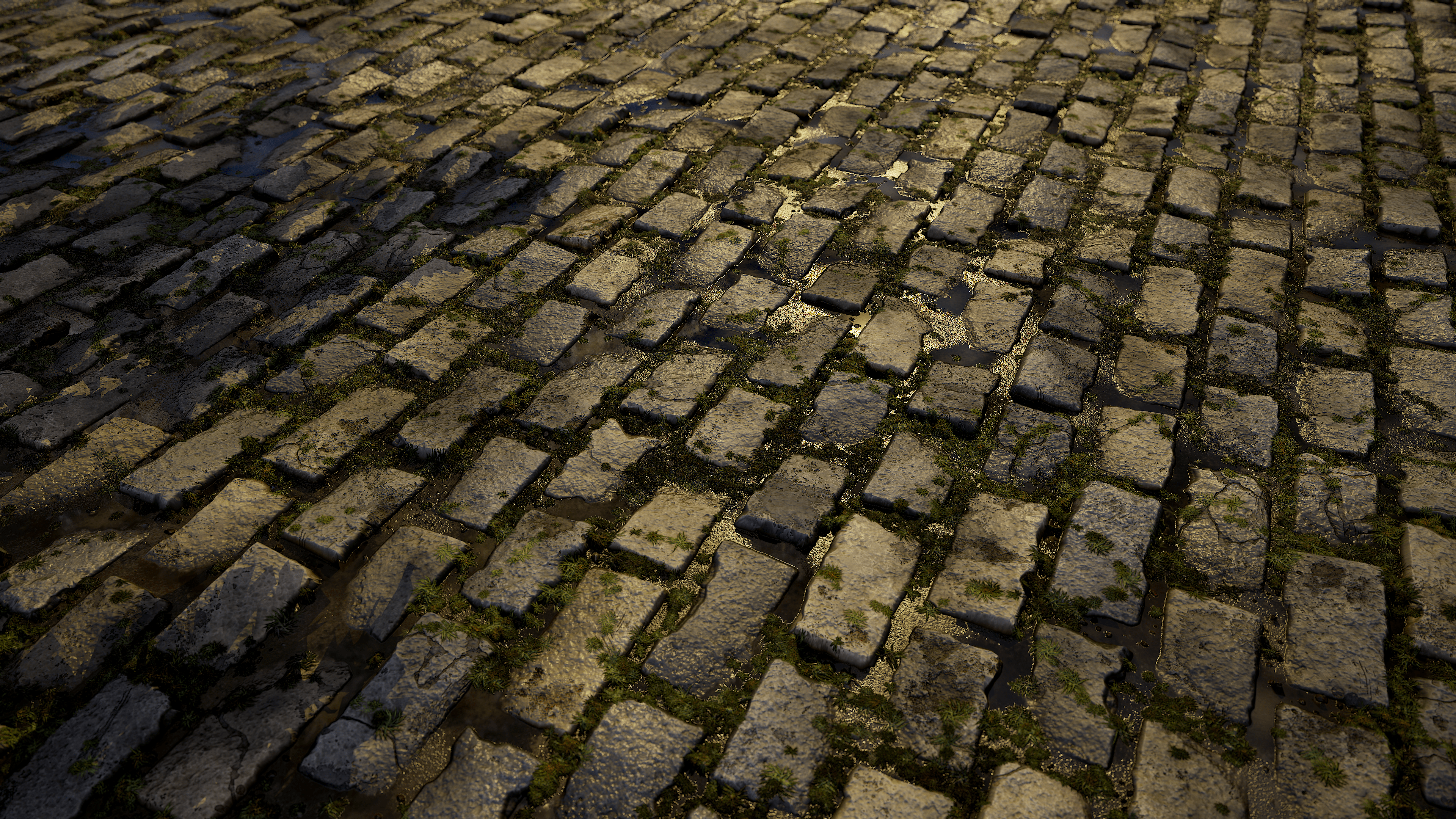 SACHA GRAND 1 _ B2 GA-min